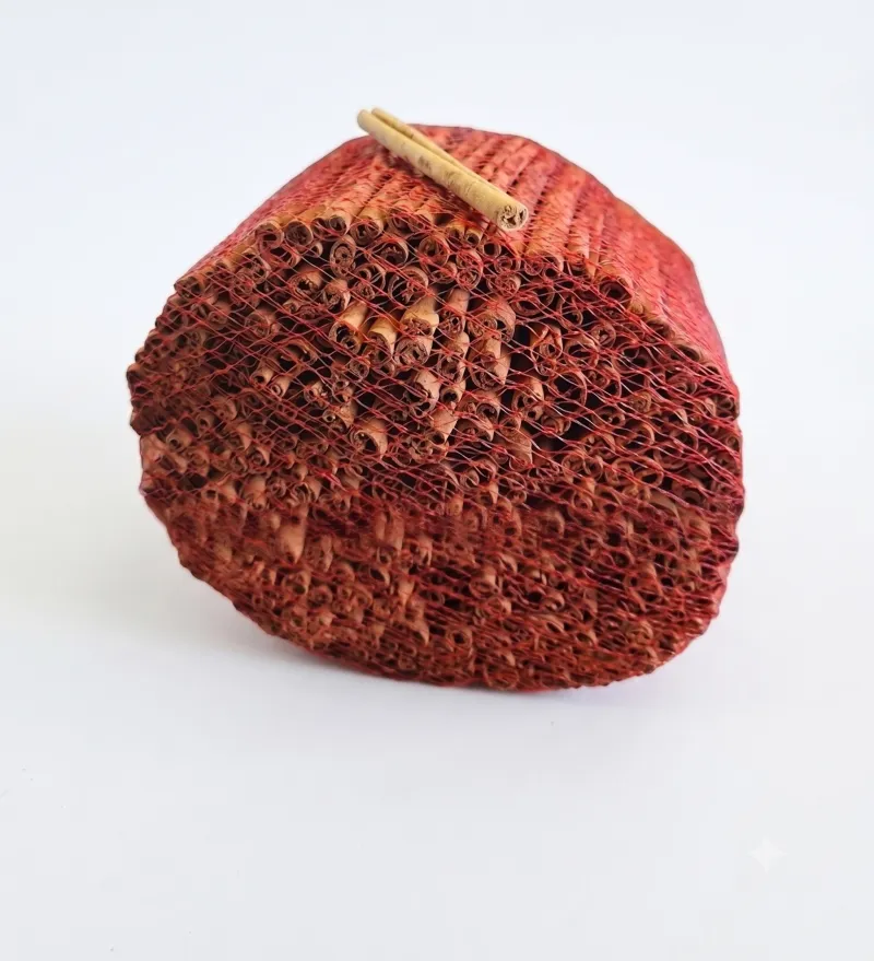 TARÇIN  (KABUK)